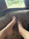Foto privada de Gattina_Regina